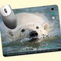 Peel&Place  7"x9"x.015" Ultra Thin, Hard Surface Mouse Pad